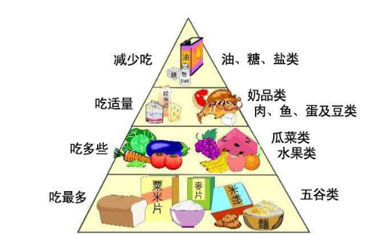 假如突然问题,什么是健康饮食结构,你首先会想到什