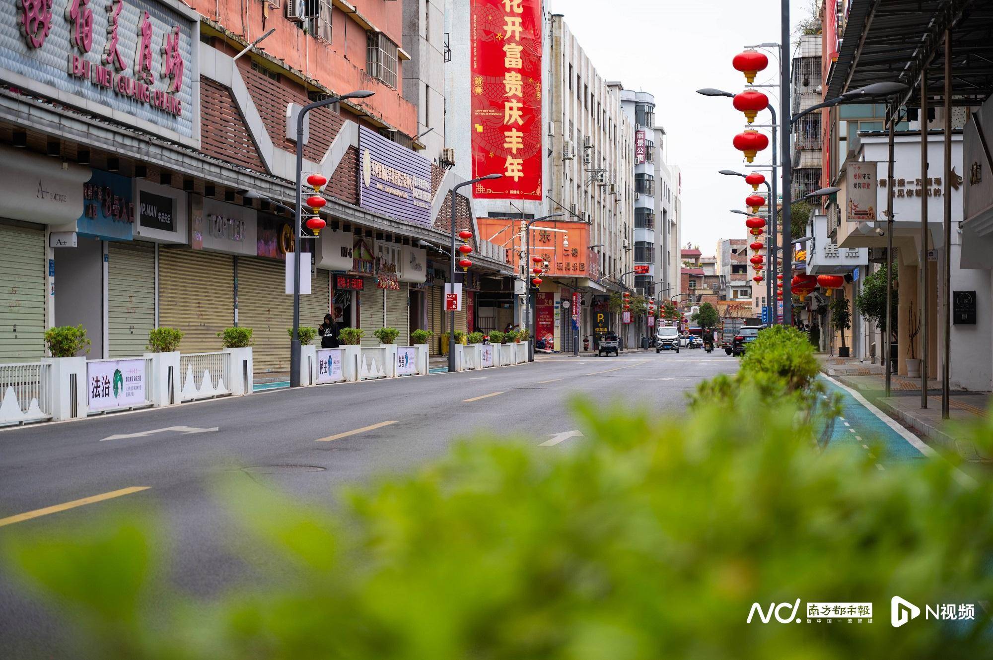 东莞发布1-2月"最美"榜单,这些村(社区)和道路上榜