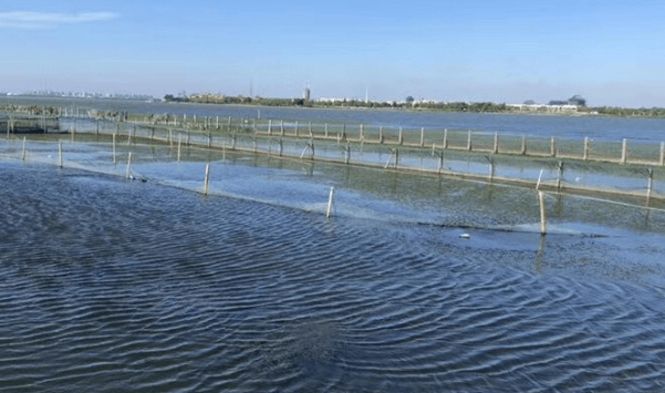 蟹塘油膜水怎么处理蟹塘水面有层膜怎么办这样解决才彻底