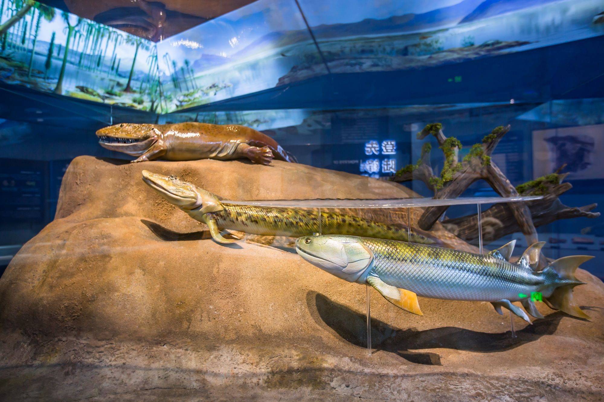 保定中国古动物馆亚洲最大的自然博物馆成为了一处网红打卡地