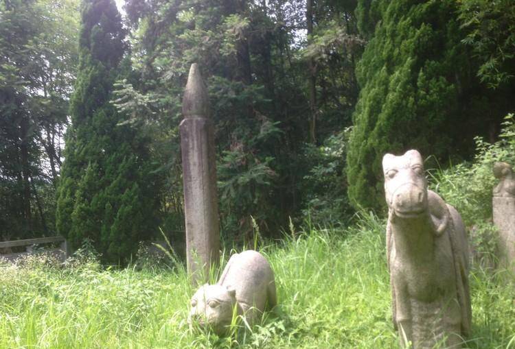 【石马和石虎】百年后的今天,人们对谭嗣同依旧称赞