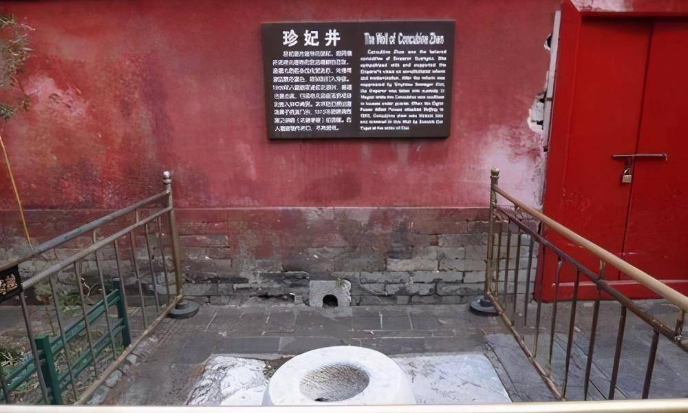 原创考古队发掘光绪皇帝的陵墓时为什么先是作呕后是众人欢呼呢