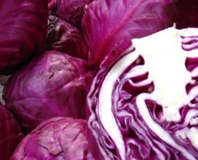 原创这4款不受人喜欢的蔬菜却是女人最需要的为了漂亮也要吃啊