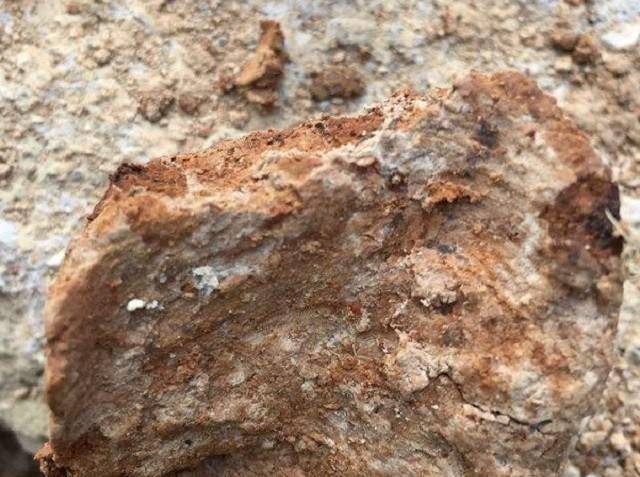 1976年,陕西发现巨型古墓,内有186人陪葬,棺椁级别至今罕见_老田_荒地