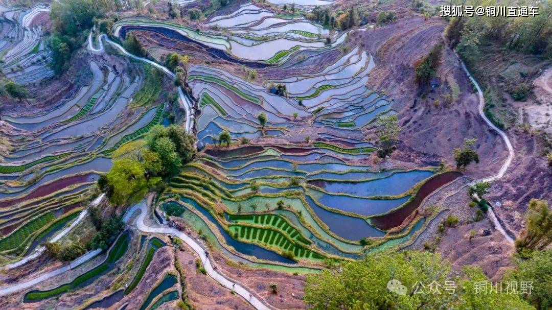 云阳梯田甲天下摄影铜川张宝光