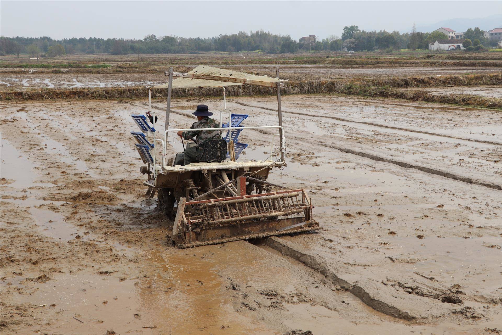 春耕正当时早稻播种忙