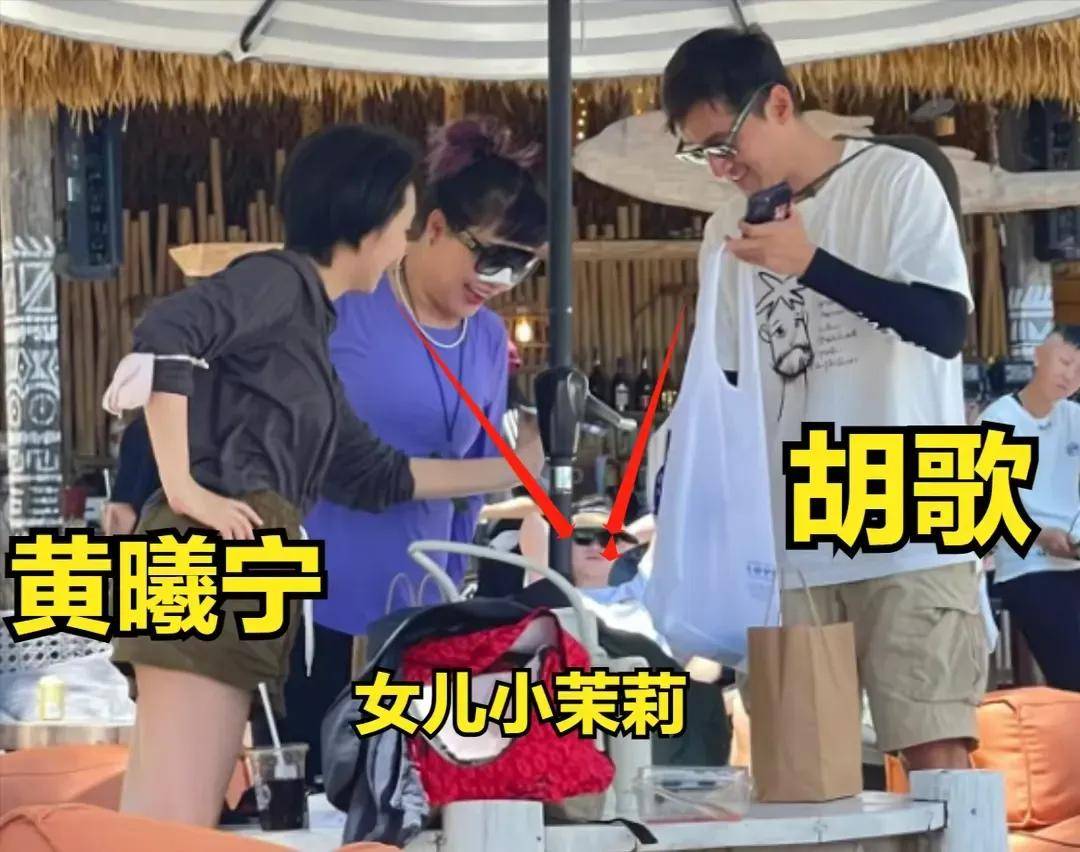 有一天黄磊突然接到老婆孙莉的电话她哭着说胡歌出车祸了张冕去世了