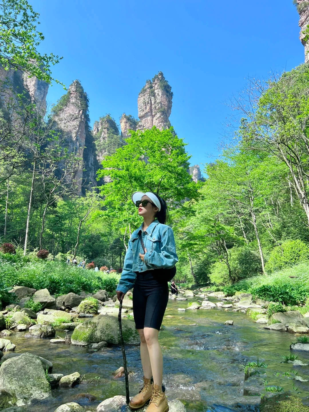 跟团去张家界天门山森林公园旅游五天四晚有哪些最佳游玩路线推荐完整