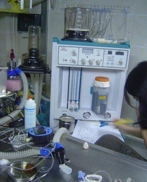 而陈某梅的死因是七氟烷中毒,引发了当事人循环功能障碍,现在已婚男