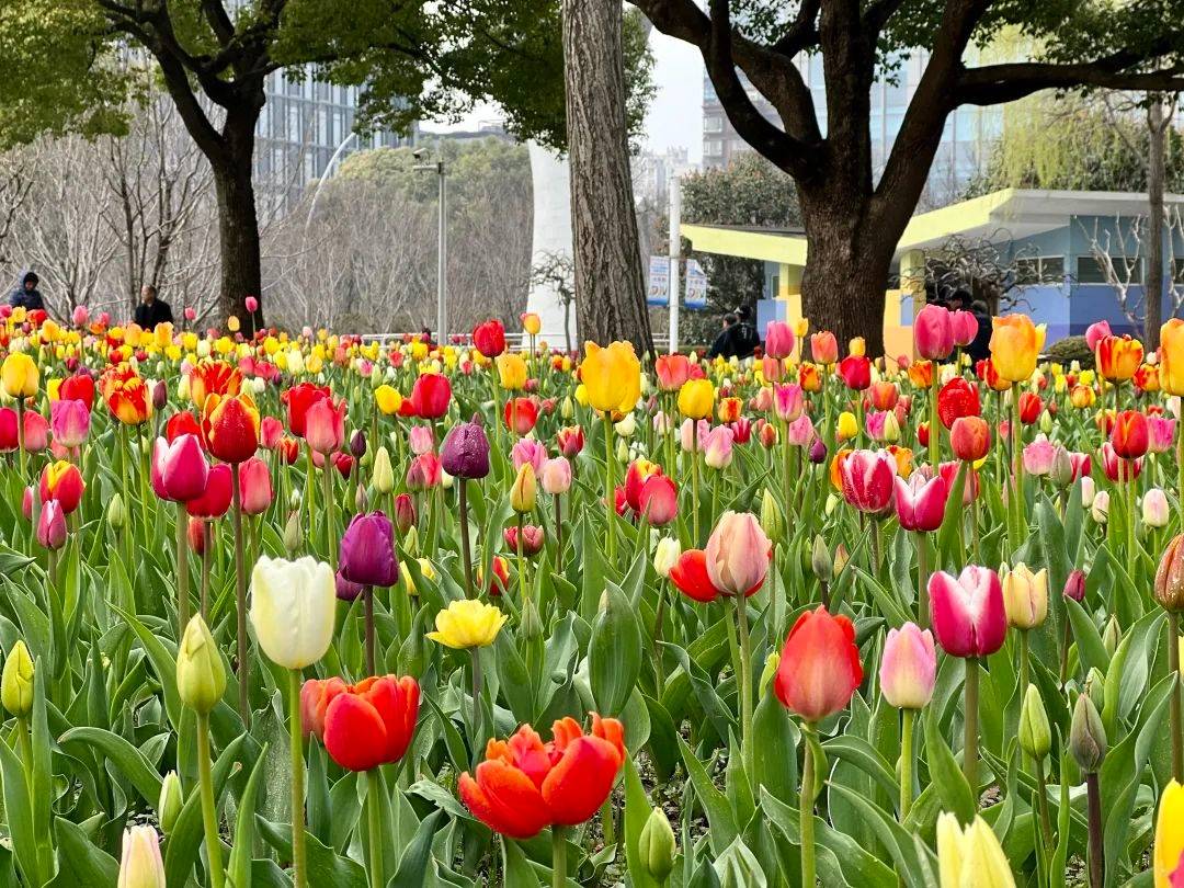 以赛为媒以赛阅城打造奔跑的城市会客厅