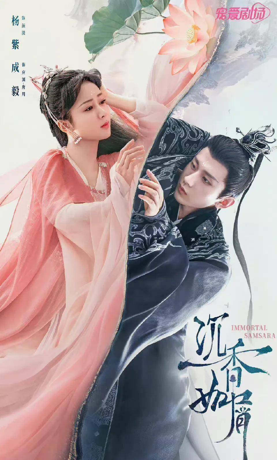 原创55剧赵露思许凯杨紫张若昀杨洋刘诗诗龚俊赵丽颖王俊凯任嘉伦