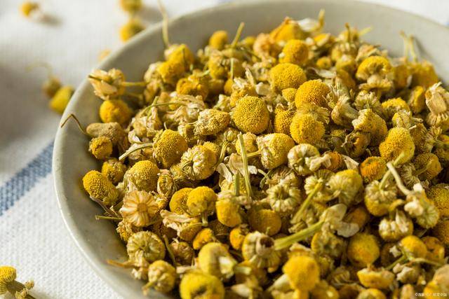 胎菊,又称甘菊,亦名小胎皇_的作用_开水_花蕾