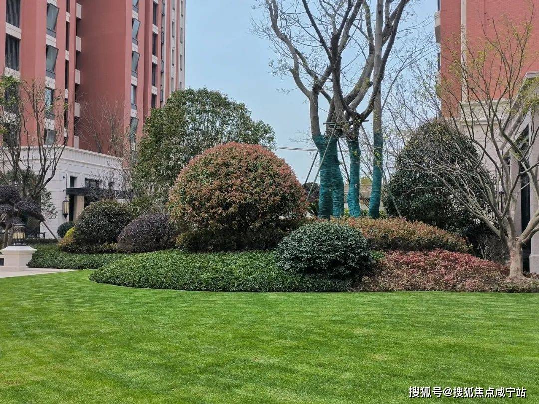 桃浦宝华紫薇花园公园道率先开创交付级预售先河桃浦宝华紫薇花园买的