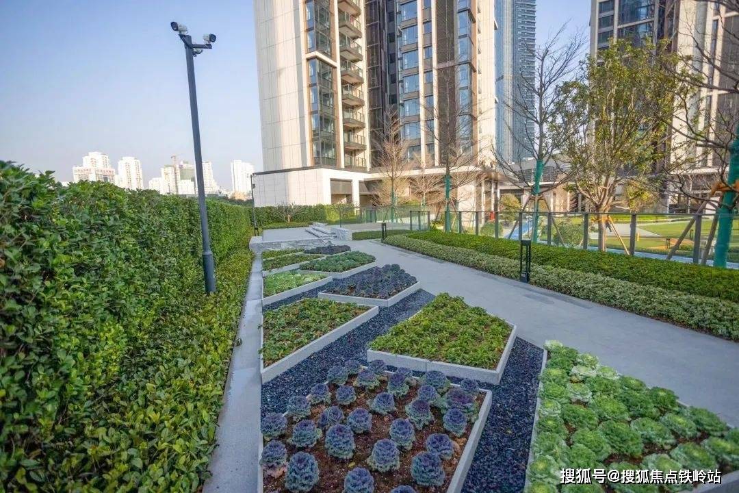 广州远洋风景远洋风景首页网站远洋风景欢迎您远洋风景楼盘详情价格