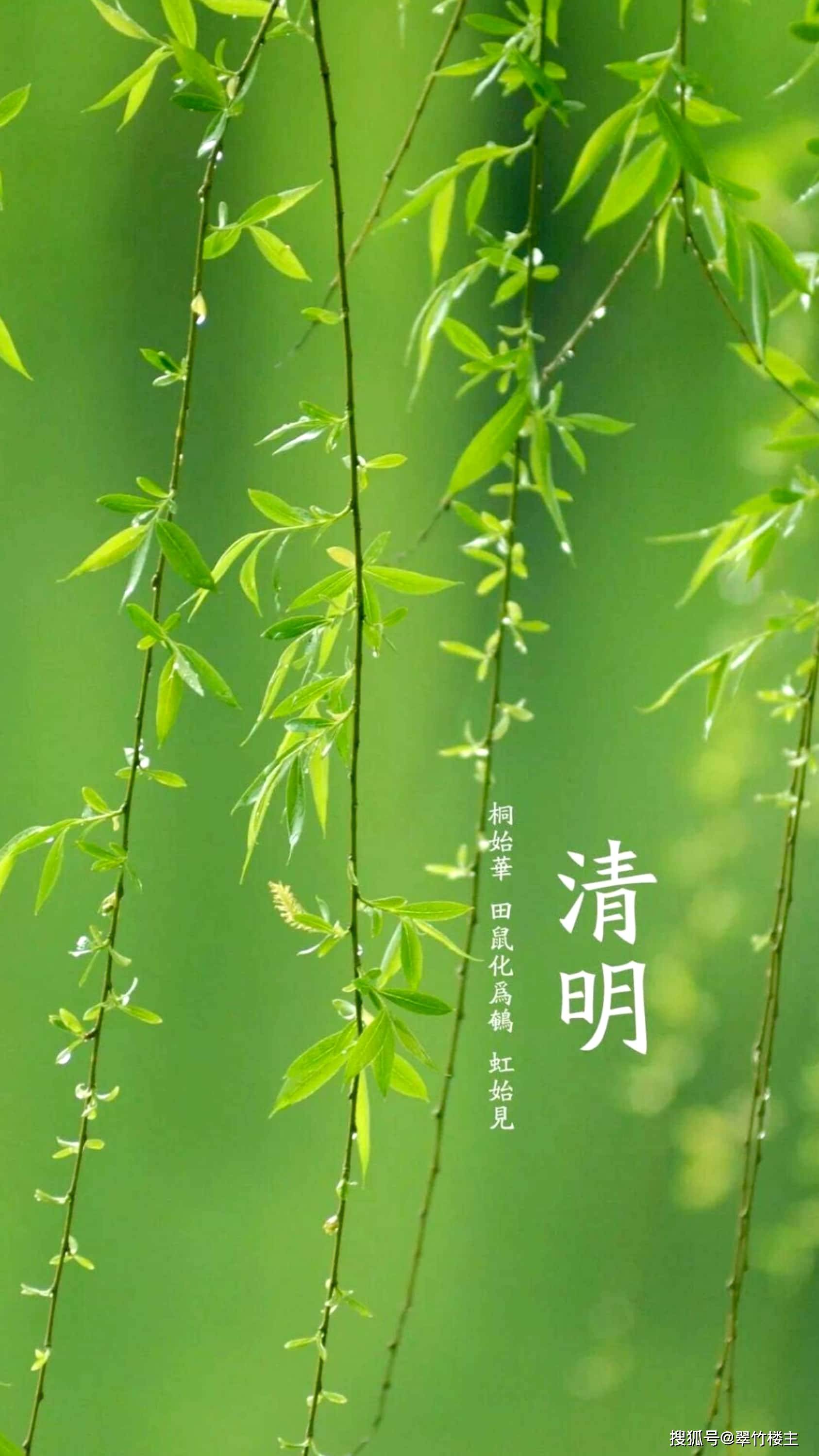 后记:清明时节,又是踏青的时候,写词一首,描写一下这时的情景