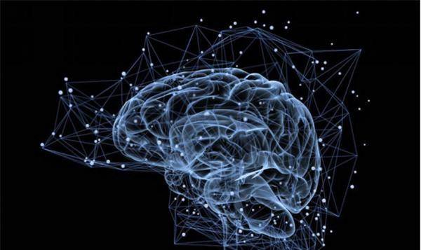 人的大脑大约相当于多大的内存几百mb还是几百个t