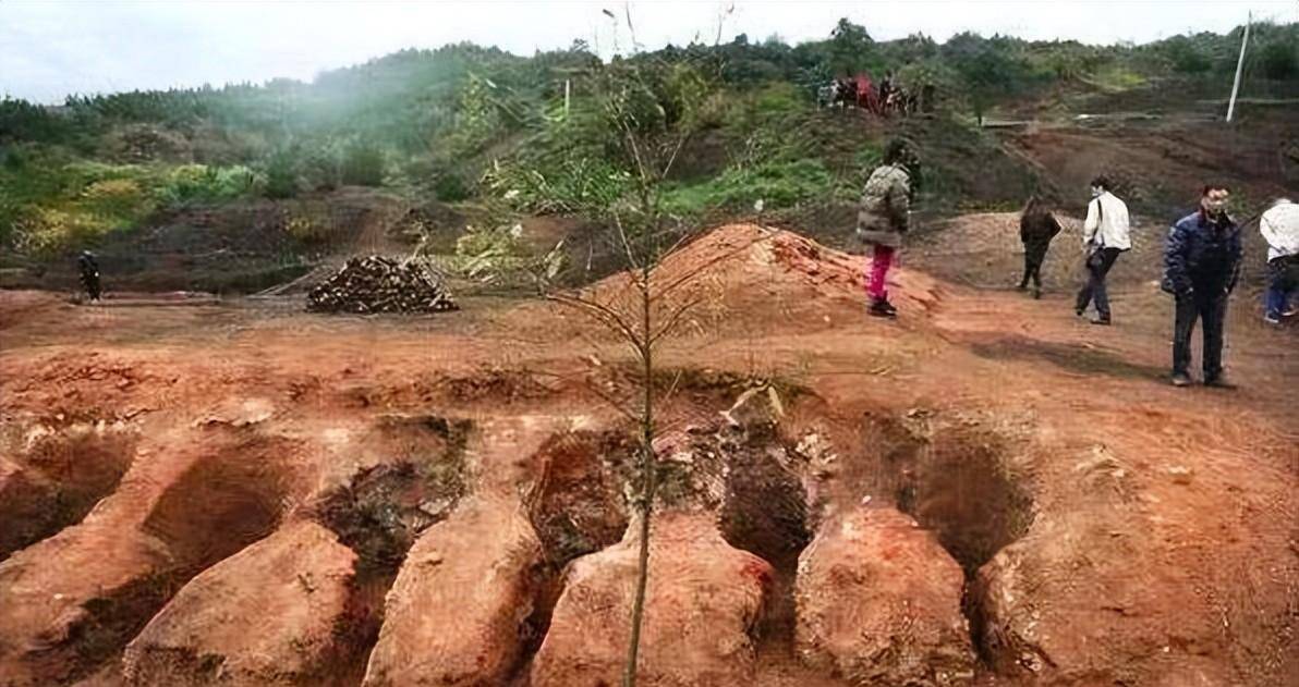 大多都身首异处,生前似乎遭受了极刑,按照常理秦岭附近的墓葬一般非富