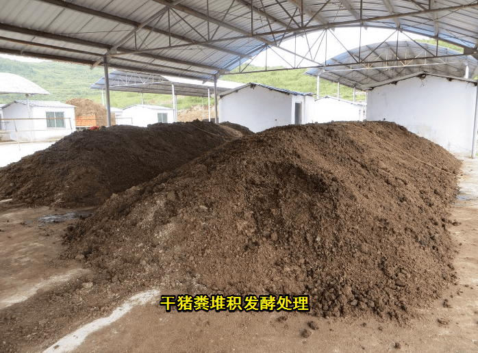 "人养猪,猪养田,田养人"养殖场粪污这样处理,解决后顾之忧,实现生态循