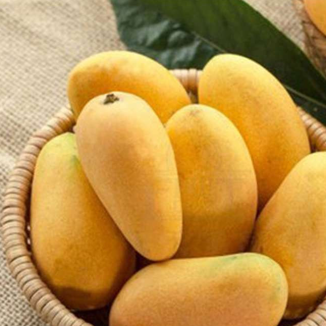 吃芒果有什么好处你知道吗看完就明白了