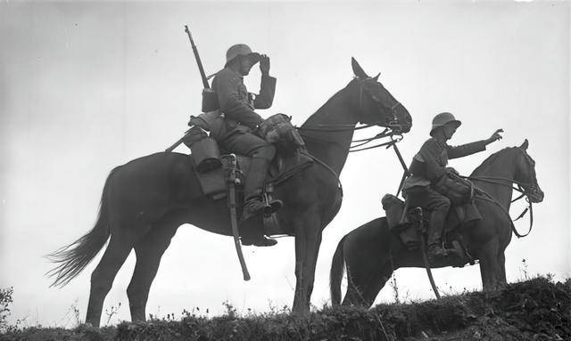 原创波兰骑兵砍坦克胡说八道我来给你揭秘二战时期真实的波兰骑兵