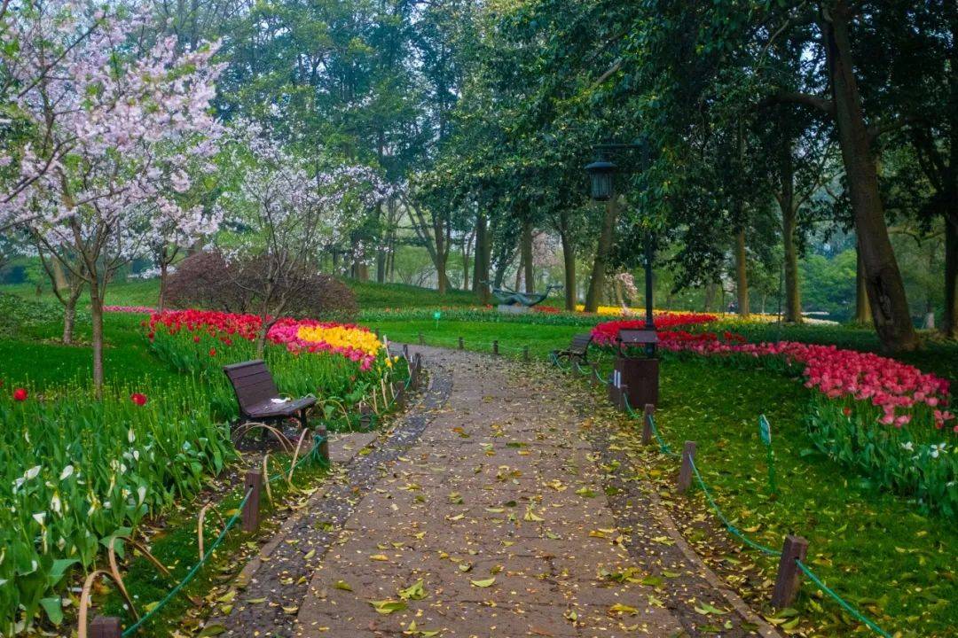 原创太子湾的风景很美难得去一趟却深感商业味重了环境也不如从前