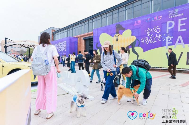 宠物时尚行业发展背景近年来,人们对宠物"陪伴"需求与日俱增.