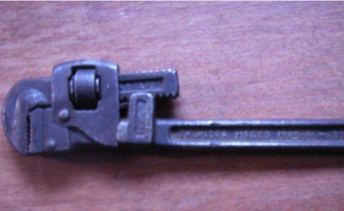 1993年他带狗出演谢晋电影老人与狗上映后人与狗都被枪决