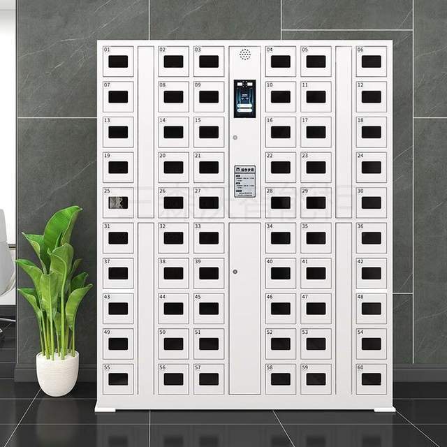 智能储物柜,智能寄存柜,存包柜,联网储物柜发展现状及应用领域_物品