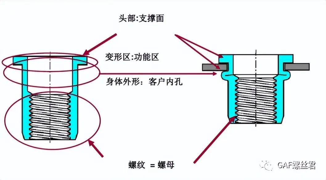 「设计开发专栏」汽车用铆螺母的产品选用策略_材料_螺纹_结构