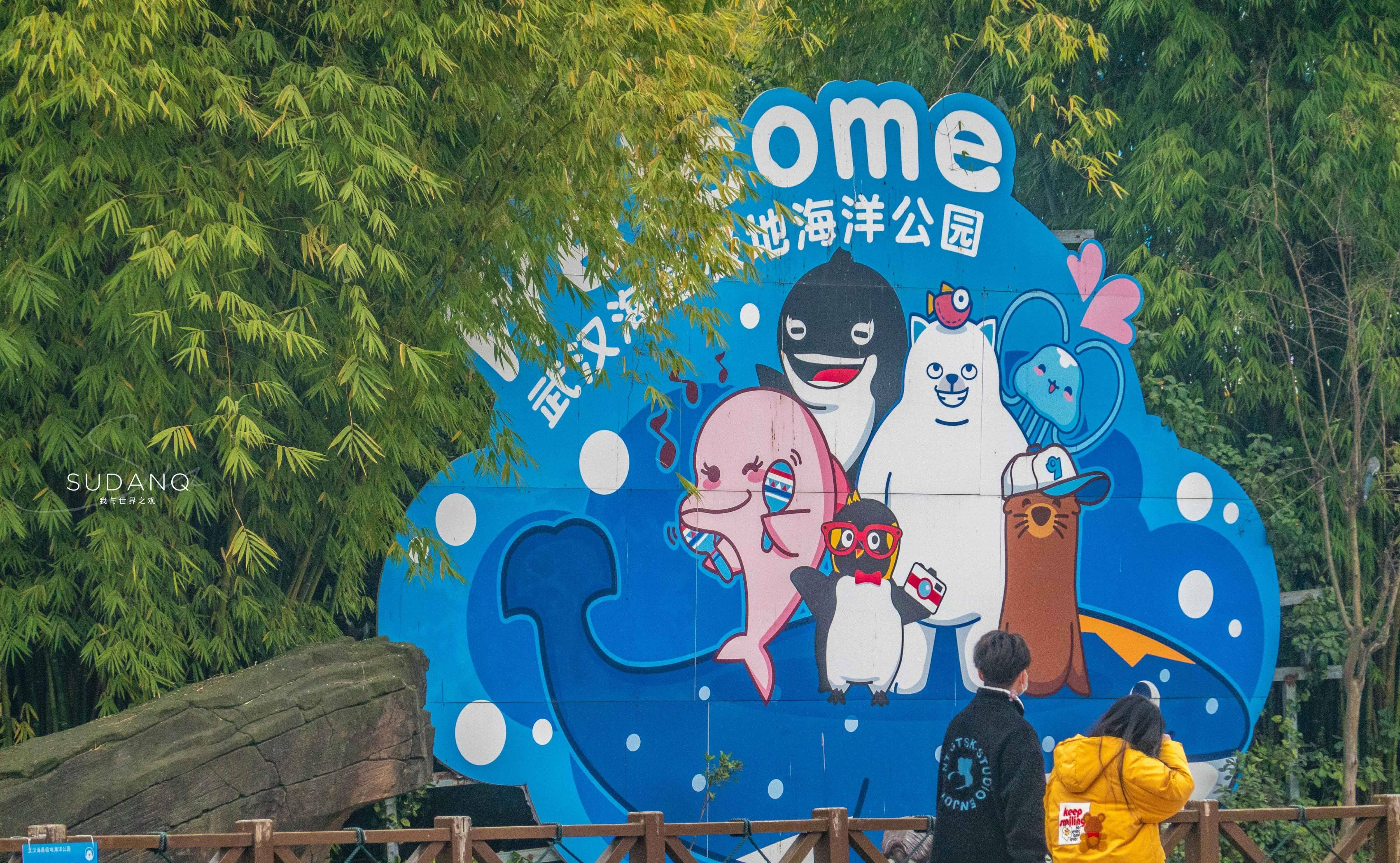 原创大江大湖大武汉武汉也有一片海洋世界潜水喂食鲨鱼太刺激