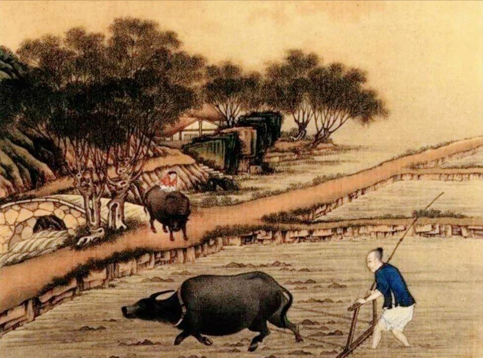 原创水浒传中梁山好汉每天二斤牛肉的愿望是否靠谱