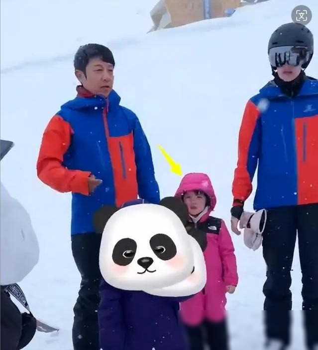 原创撒贝宁家人同台旅游混血龙飞凤胎齐亮相人人赞叹他娶对了