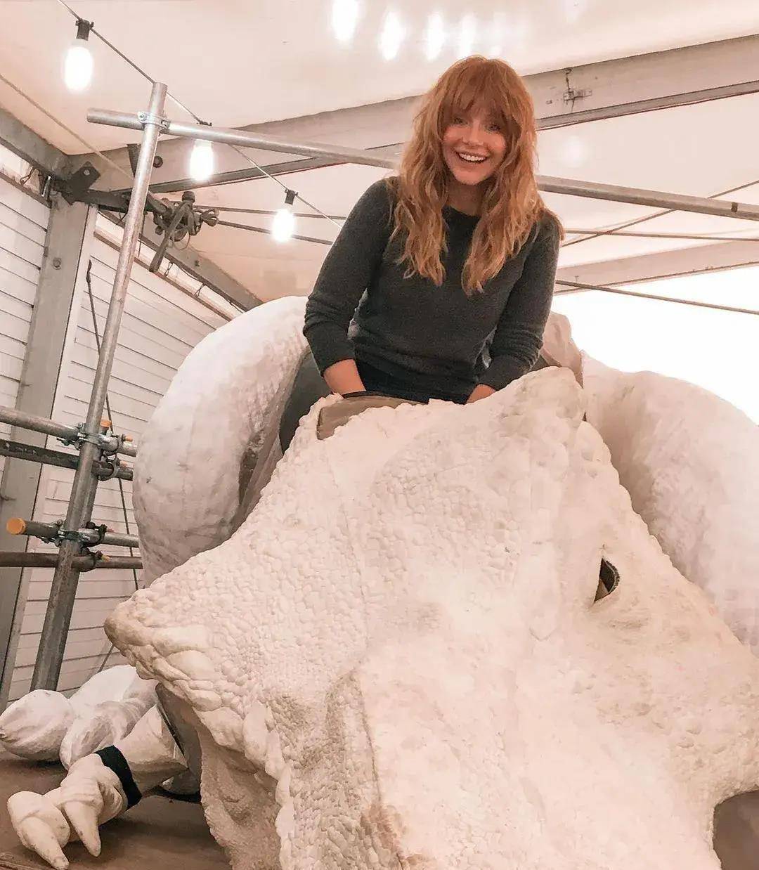 原创为艺术献身的女明星布莱丝达拉斯霍华德