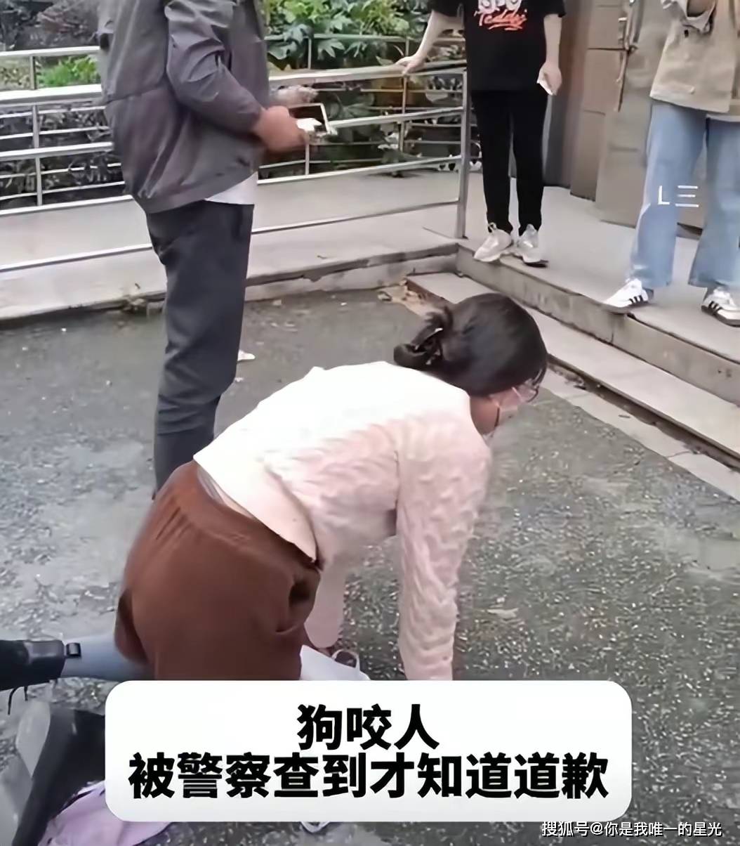 咬人狗主人登门道歉图片