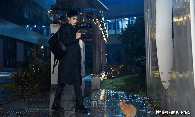 大神专业户张彬彬新剧《手术直播间》将播,这部医疗剧值得追吗?