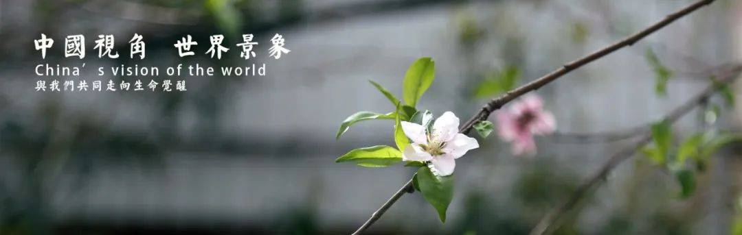 万物生长只此清明河南少年先锋学校清明祭祀雅集活动