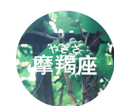 12星座希望自己不是单身的时刻