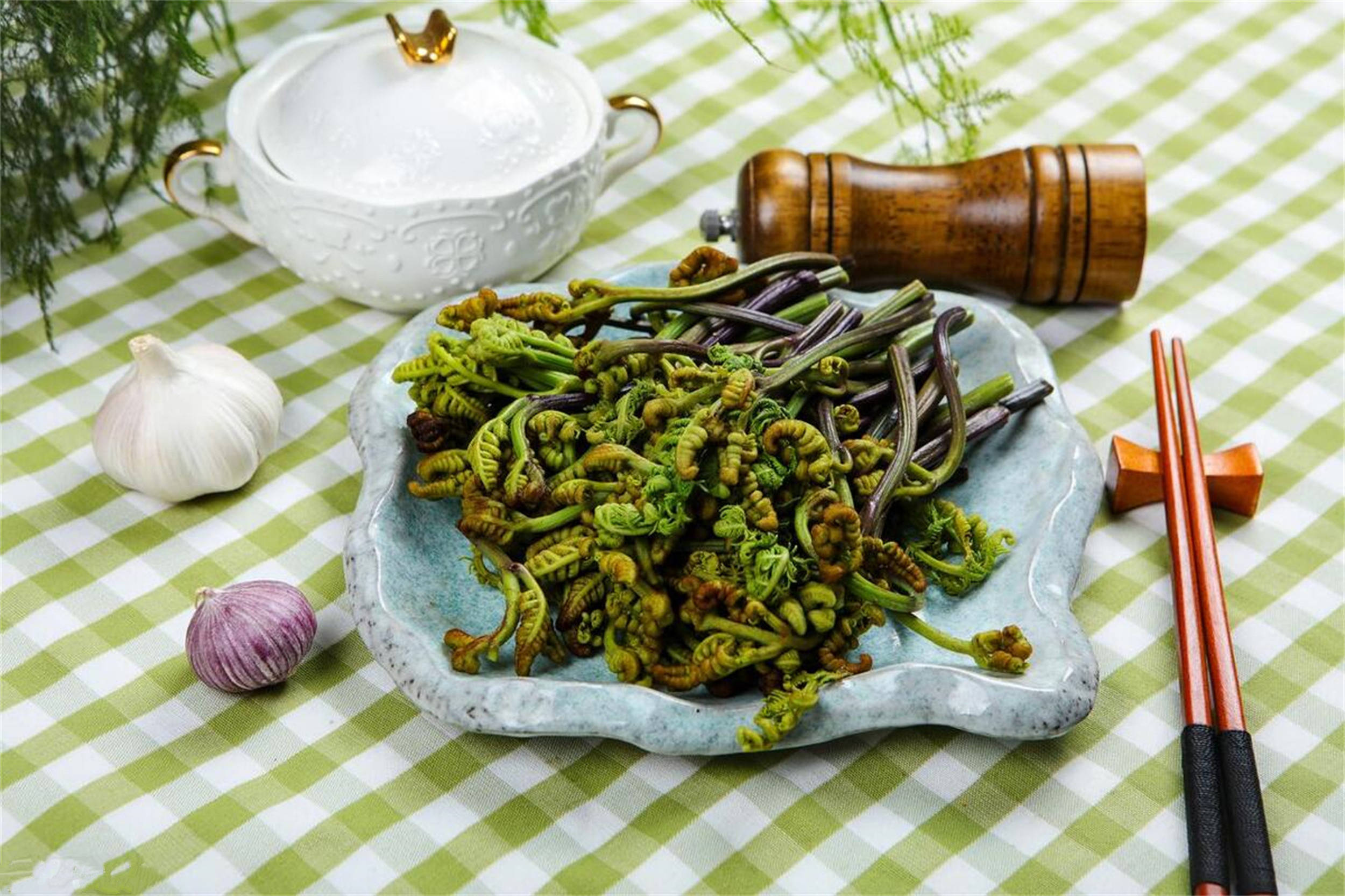 南方春天的野菜图片