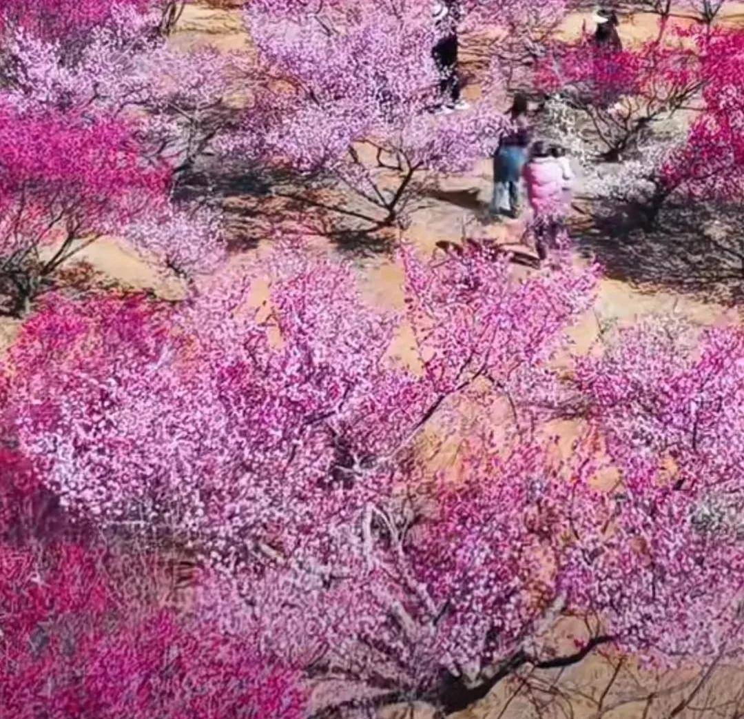 原创春日诗组选