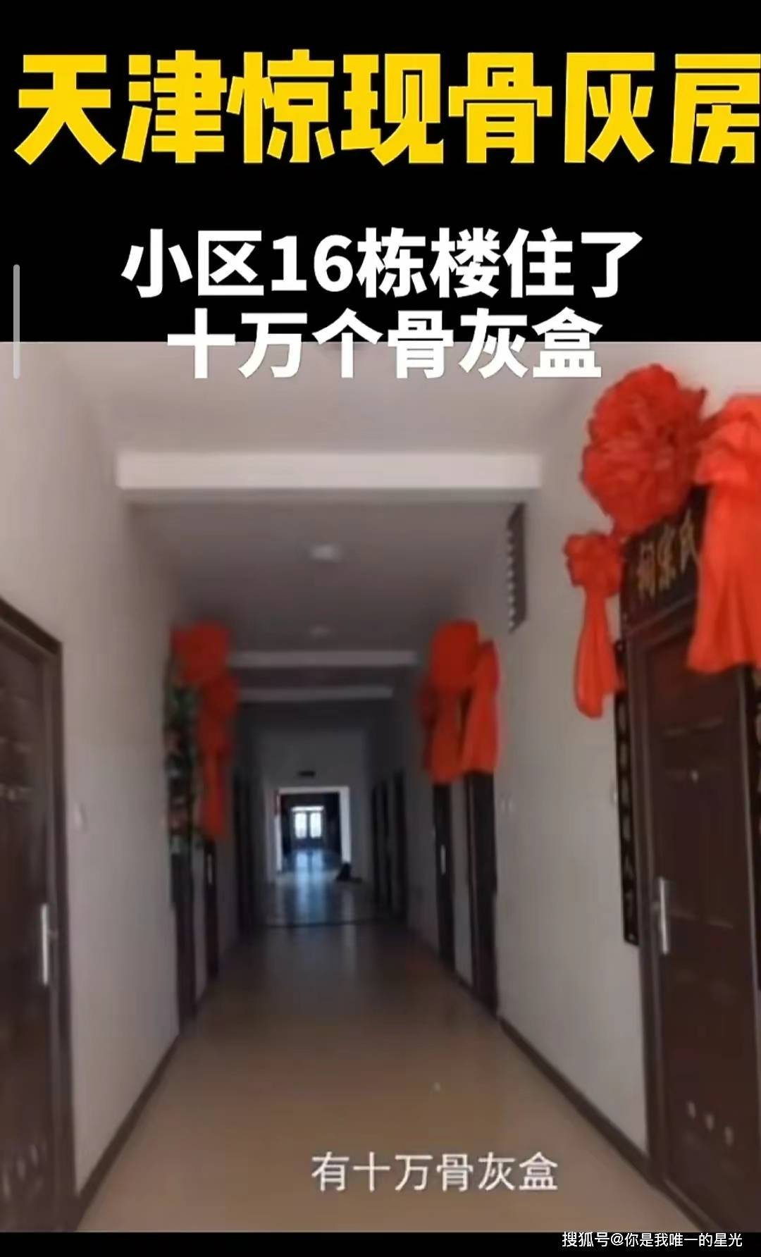 墓地买不起,骨灰盒小区诞生:社会新现象背后的隐忧!