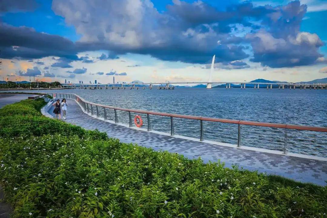 (2)休闲娱乐:深圳湾公园是家庭休闲的好去处,大人们可以在这里拉家常