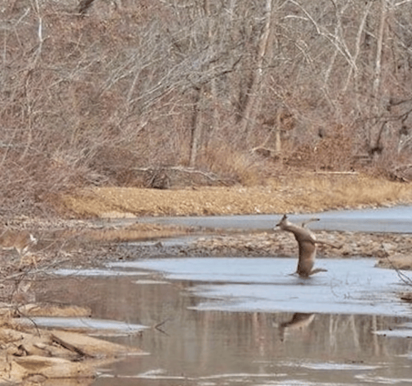 15张让人叹为观止的超神抓拍哪怕是晚一秒都无法拍到的相片