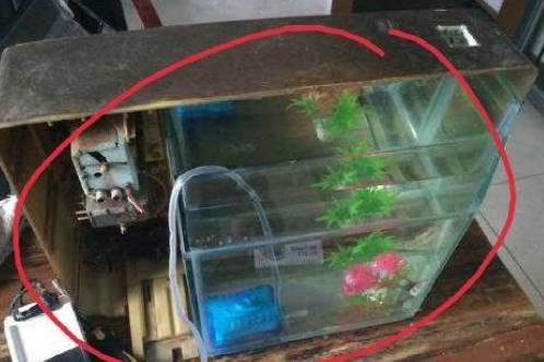原创旧款电视机坏了别扔简单改造一下鱼缸都不用买了