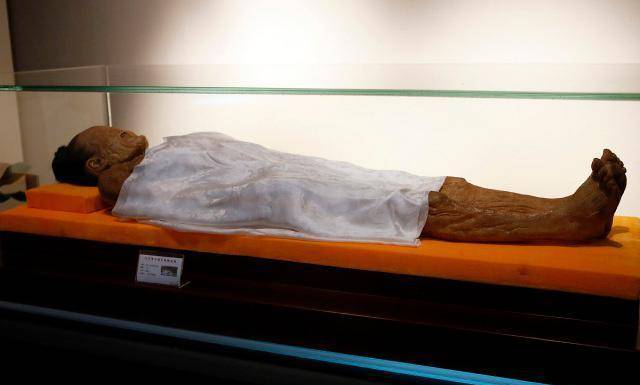 一直以来,辛追的尸体一直保持千年不腐是一个历史界热议的一个话题