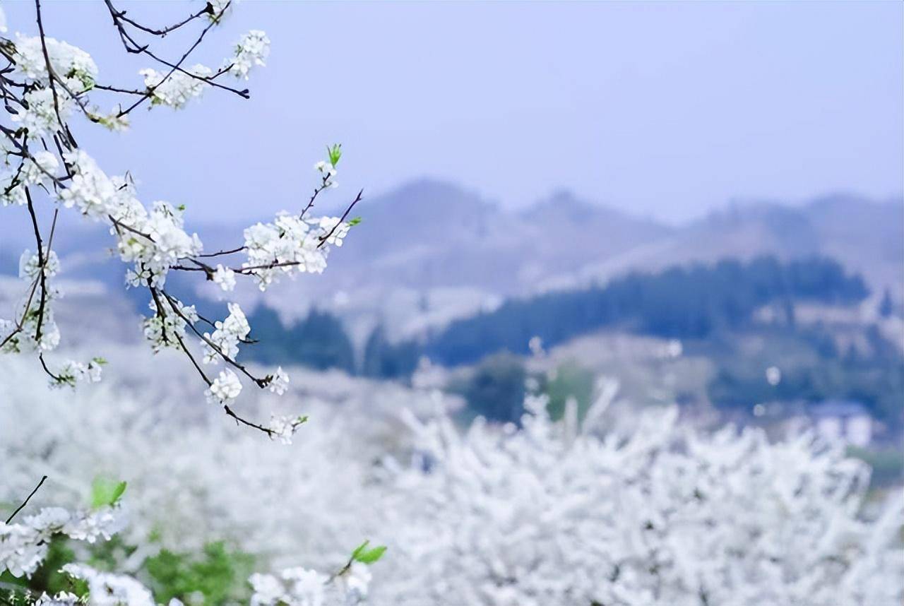 春窗四面开,二十首春望诗词,你最喜欢哪一首?