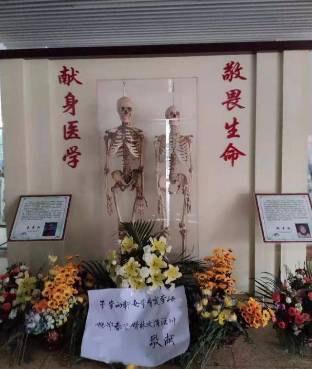 丈夫去世捐献遗体去世14年她紧随其后再相逢已是白骨之躯