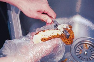 给山药剥皮为什么会皮肤瘙痒皮肤瘙痒该怎么办