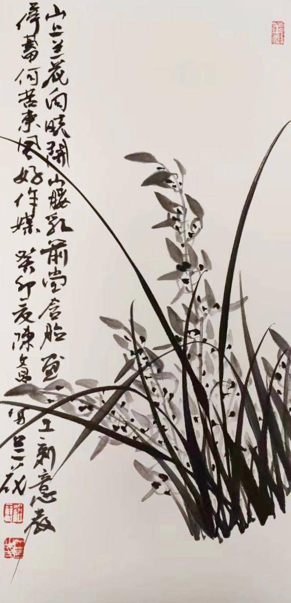 展讯画家陈文昌先生兰花作品展即将在保定市瞻岳艺术空间开幕