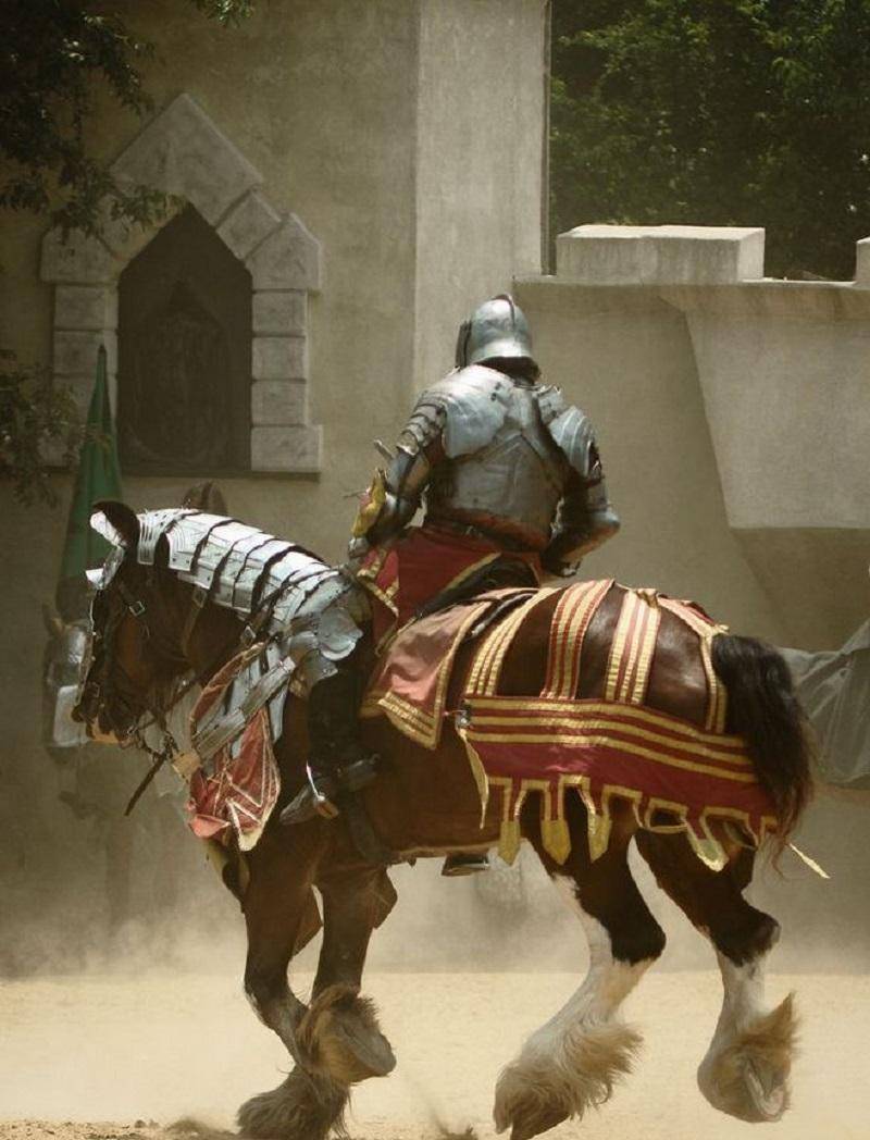 因为其实一般都是贵族之子,自小就接受骑士教育,在完成学业和一定年纪