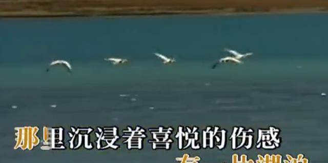 2000年,他为羽泉拍摄了歌曲《冷酷到底》的mv.